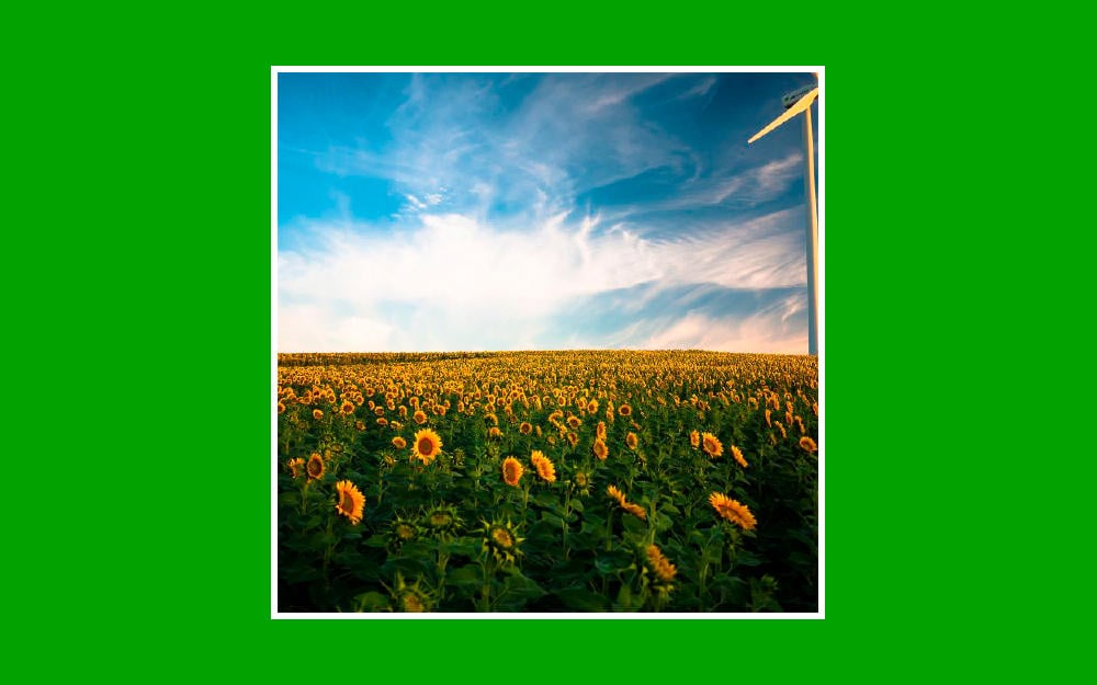 Consumo de energía renovable y su impacto en el medio ambiente