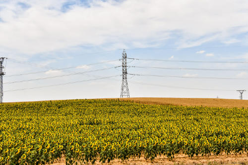 Energía a partir de la humedad atmosférica: tecnologías emergentes Energía a partir de la humedad atmosférica: tecnologías emergentes