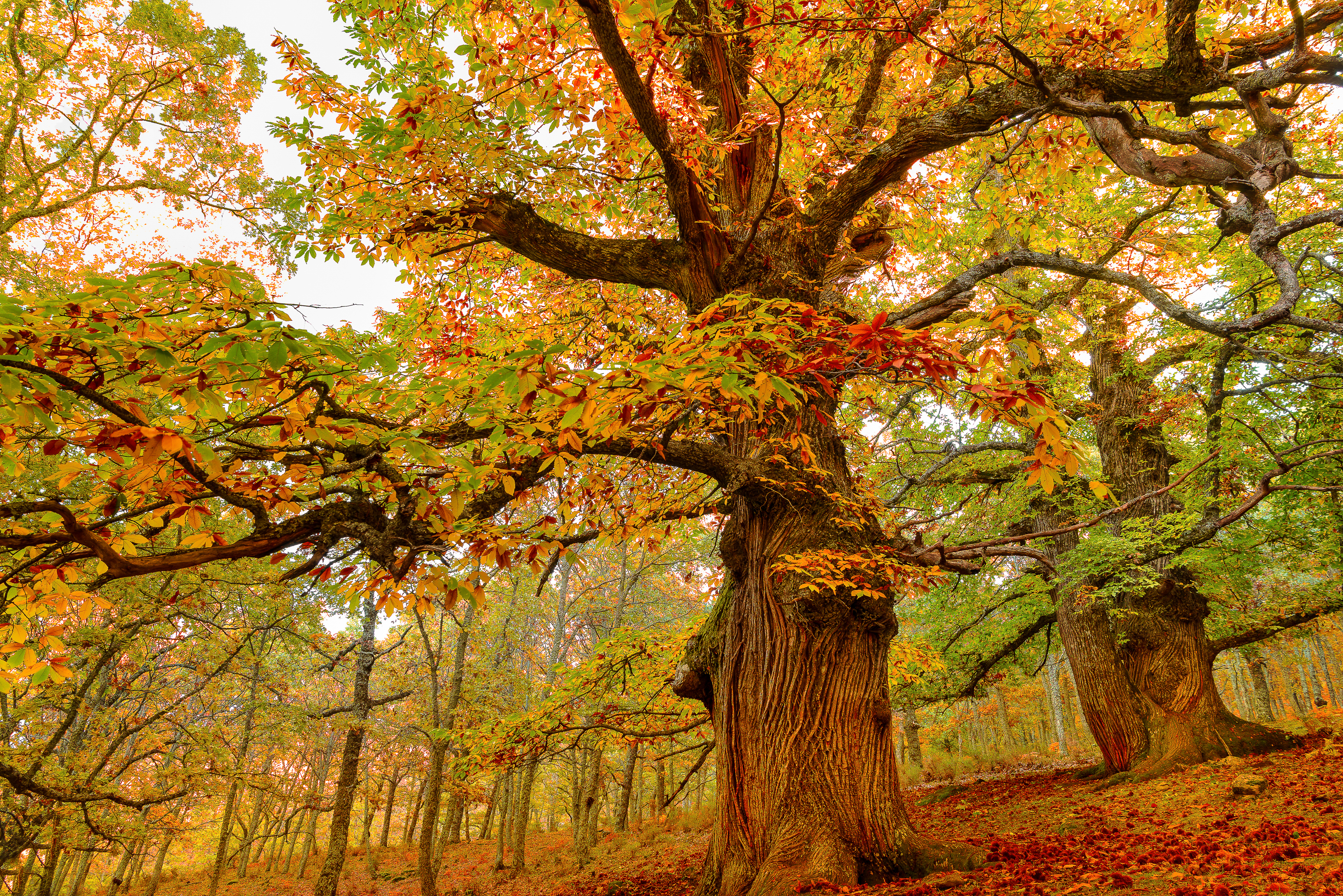 Cómo ahorrar energía en la factura de la luz durante el otoño