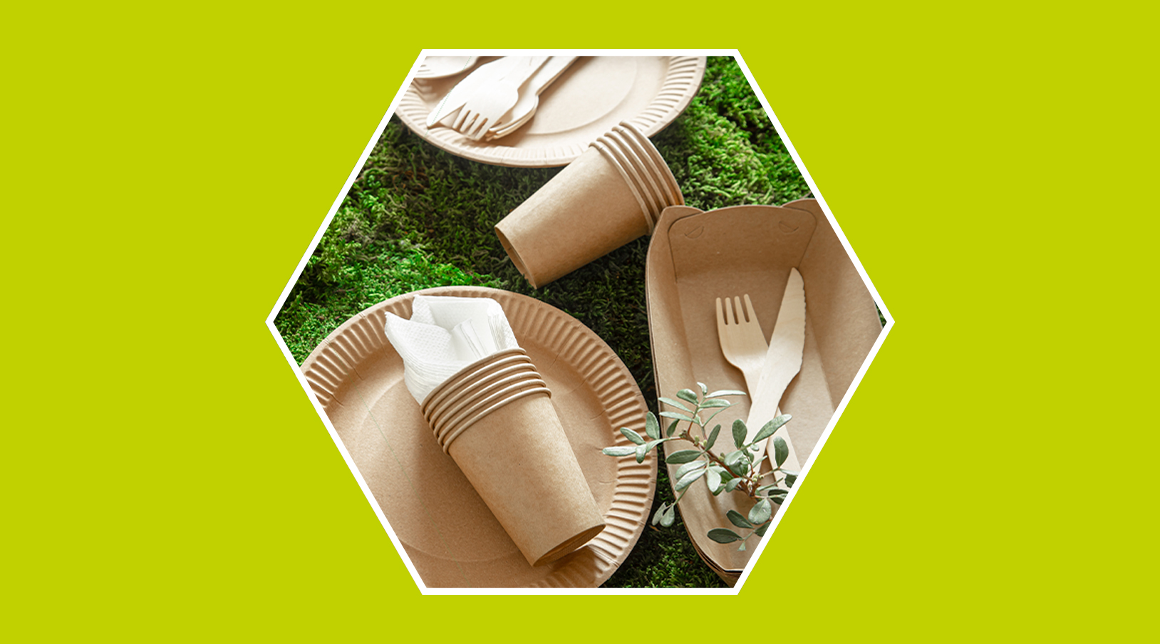 Biodegradable-y-no-biodegradable