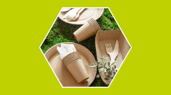 Biodegradable-y-no-biodegradable