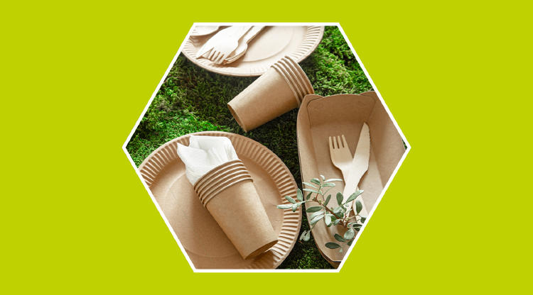 Biodegradable y No Biodegradable: Diferencias e Impacto
