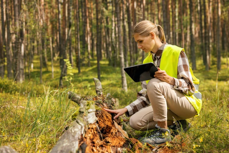 Iniciativas para la restauración de ecosistemas: guía completa Iniciativas para la restauración de ecosistemas: guía completa