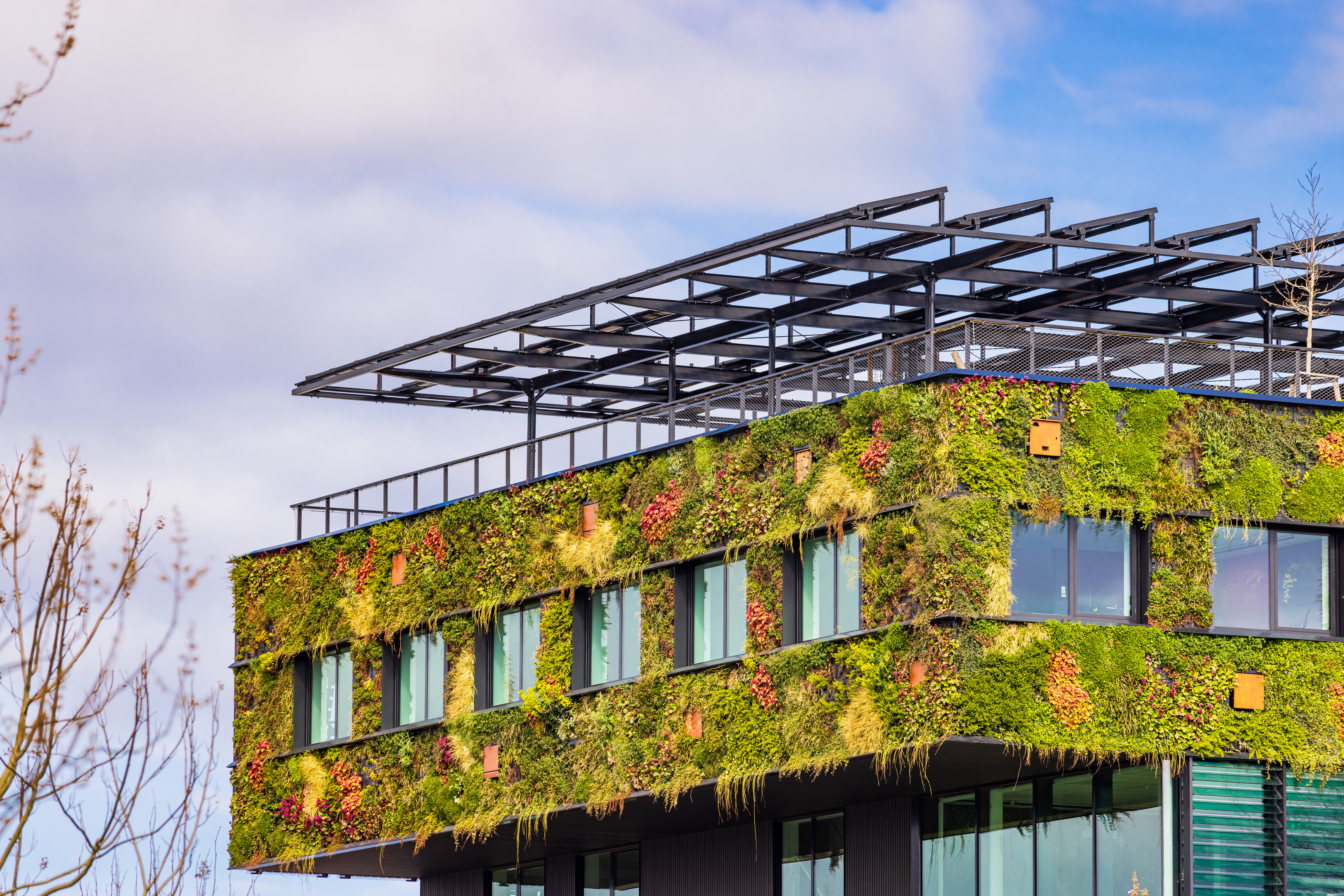 Qué es la arquitectura bioclimática y cómo te ayuda a ahorrar