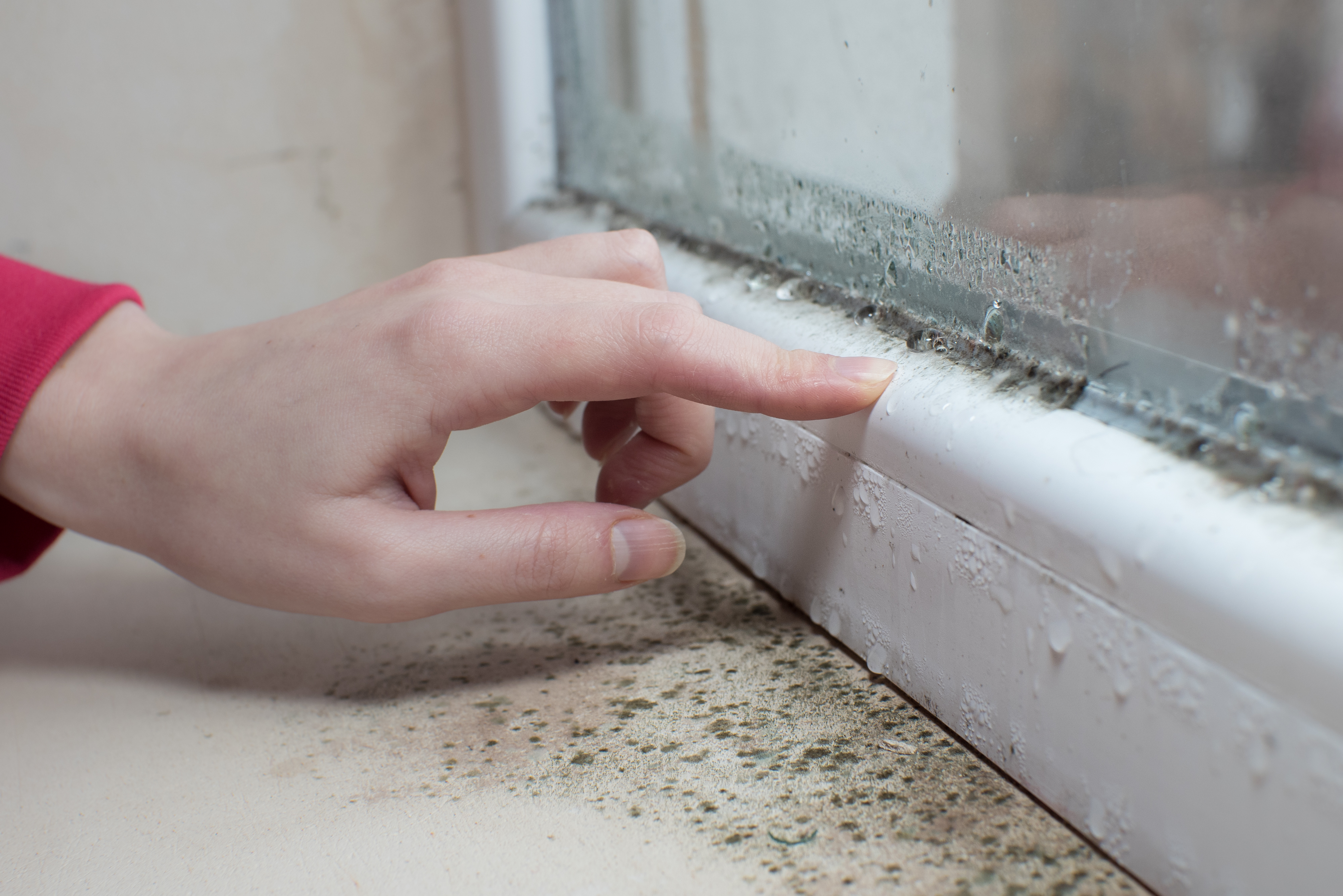 Deshumidificador en otoño e invierno: cuándo compensa frente a ventilar