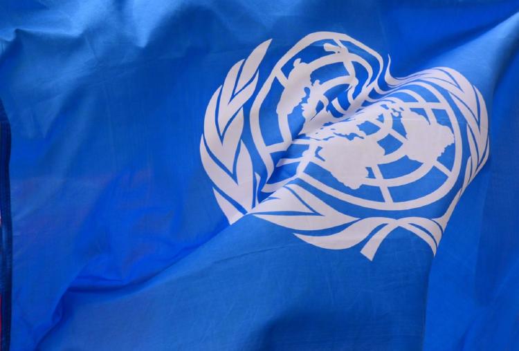 Neutralidad de carbono Neutralidad de carbono