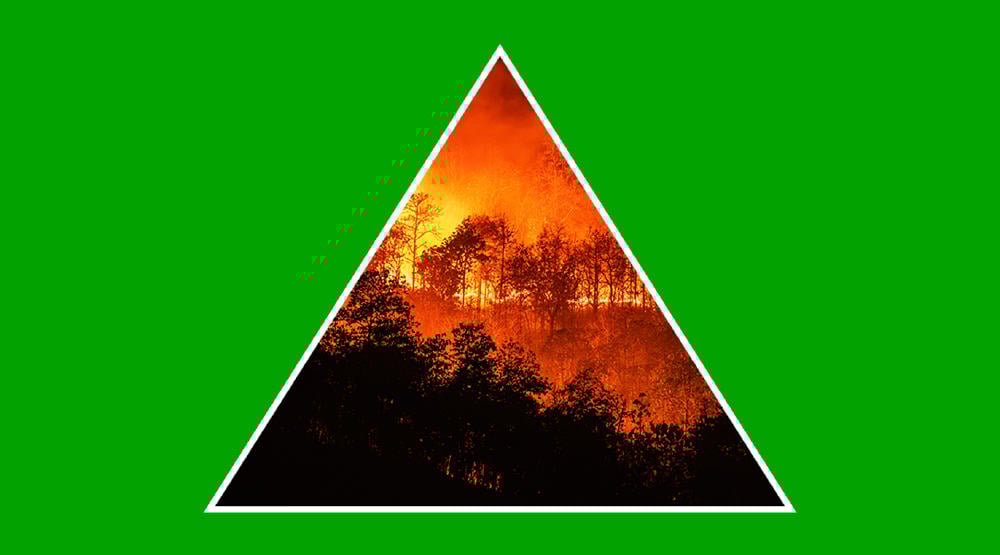 Incendios forestales y su impacto en el medio ambiente