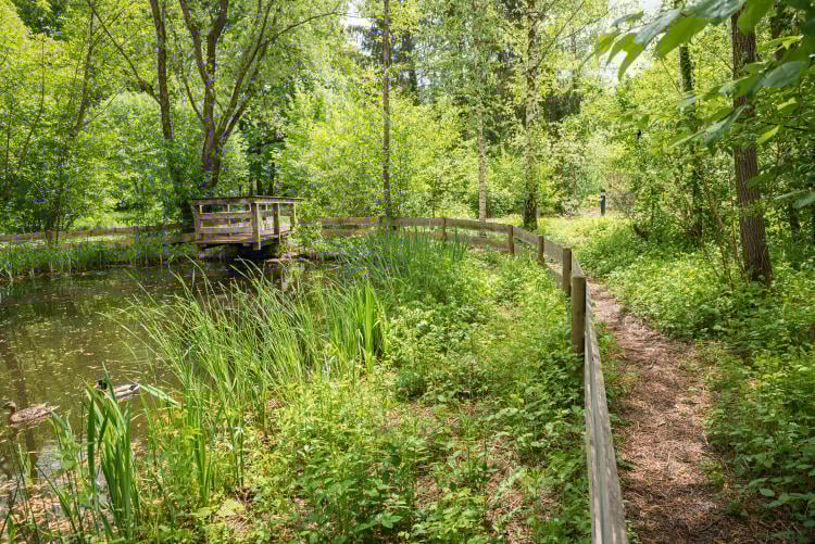 Qué es un biotopo y por qué es importante para el ecosistema Qué es un biotopo y por qué es importante para el ecosistema