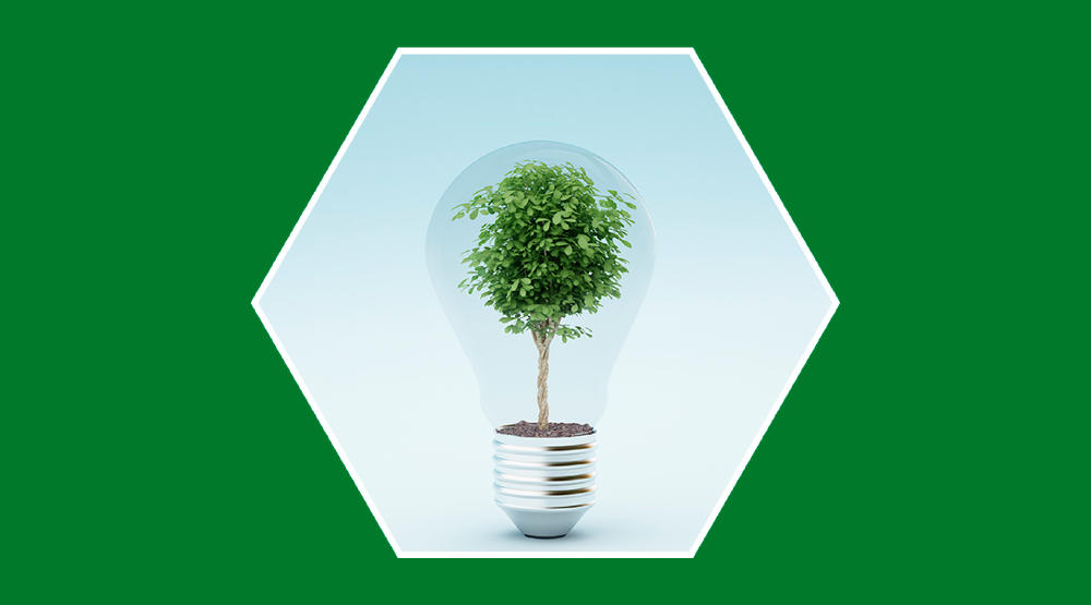 Energías renovables y su importancia para el futuro