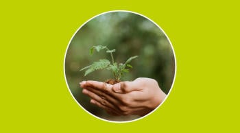 Sustentabilidad y sostenibilidad: ¿significan lo mismo?