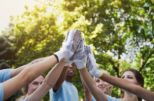 grupo chocando la mano con guantes de jardineria grupo chocando la mano con guantes de jardineria