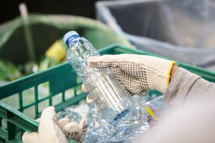 Impacto del calentamiento global en la migración animal Impacto del calentamiento global en la migración animal