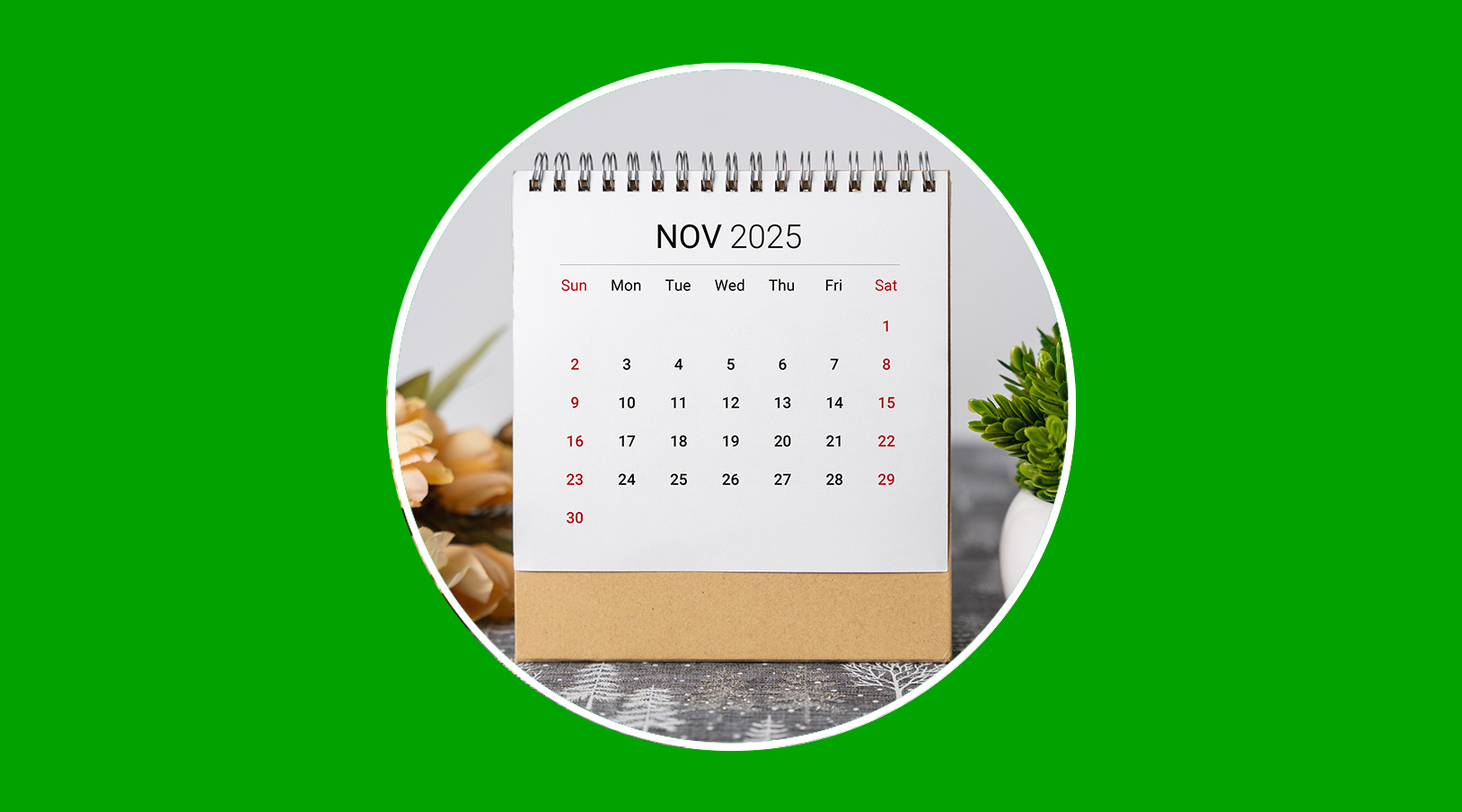 Por qué noviembre es ideal para revisar tu aislamiento térmico