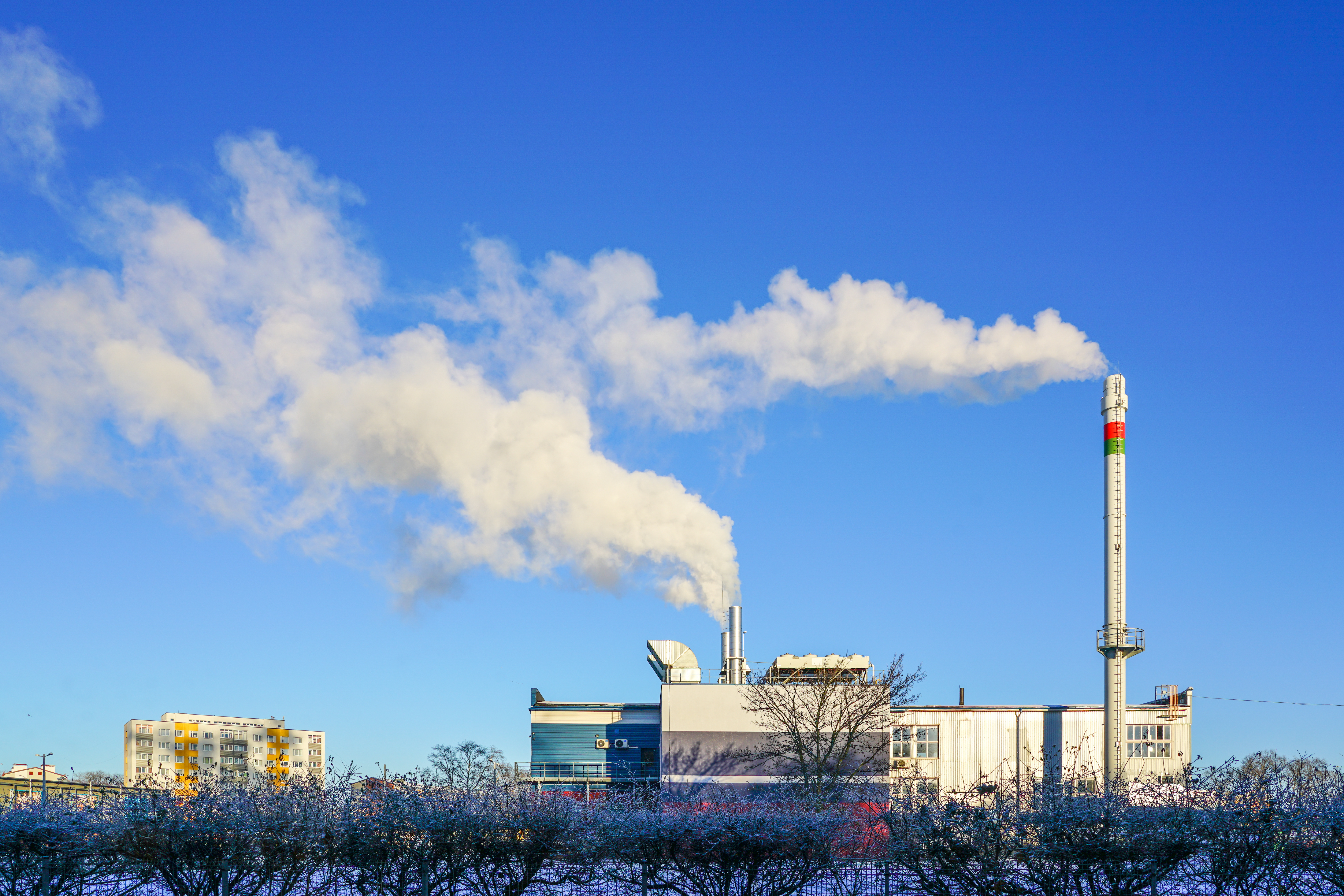 Qué hacer si tu empresa quiere ser neutra en carbono