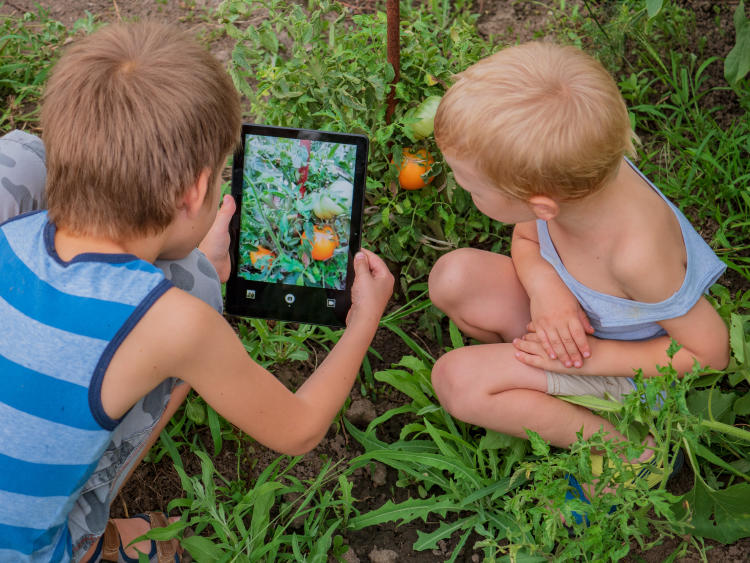 Apps educativas para enseñar energía verde en escuelas Apps educativas para enseñar energía verde en escuelas