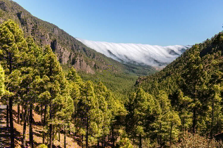 Parque Nacional Taburiente Parque Nacional Taburiente