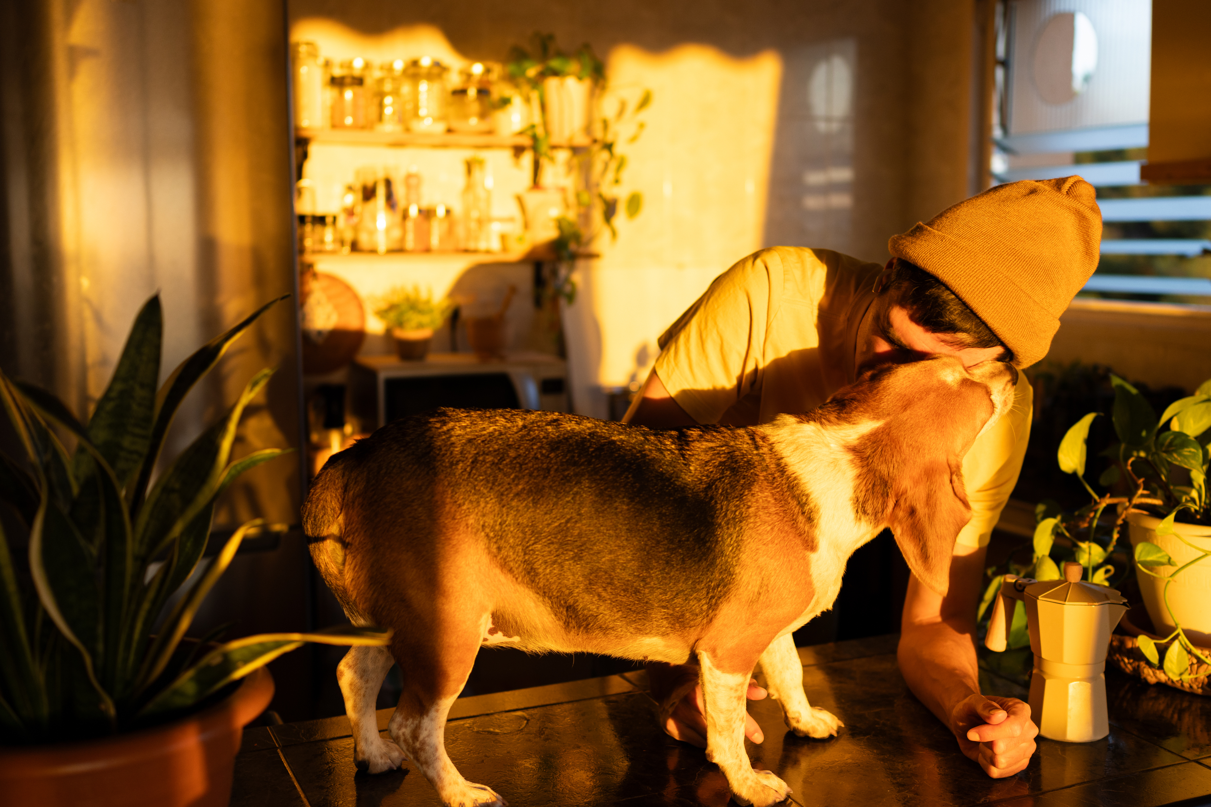 C&oacute;mo afecta la distribuci&oacute;n de espacios al uso de la energ&iacute;a