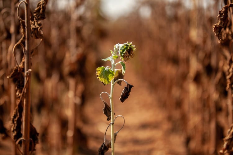 iStock 1413405388 iStock 1413405388