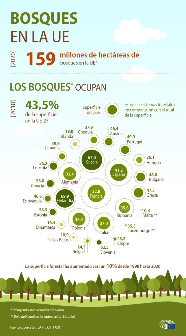 Sumideros carbono cambio climático Sumideros carbono cambio climático