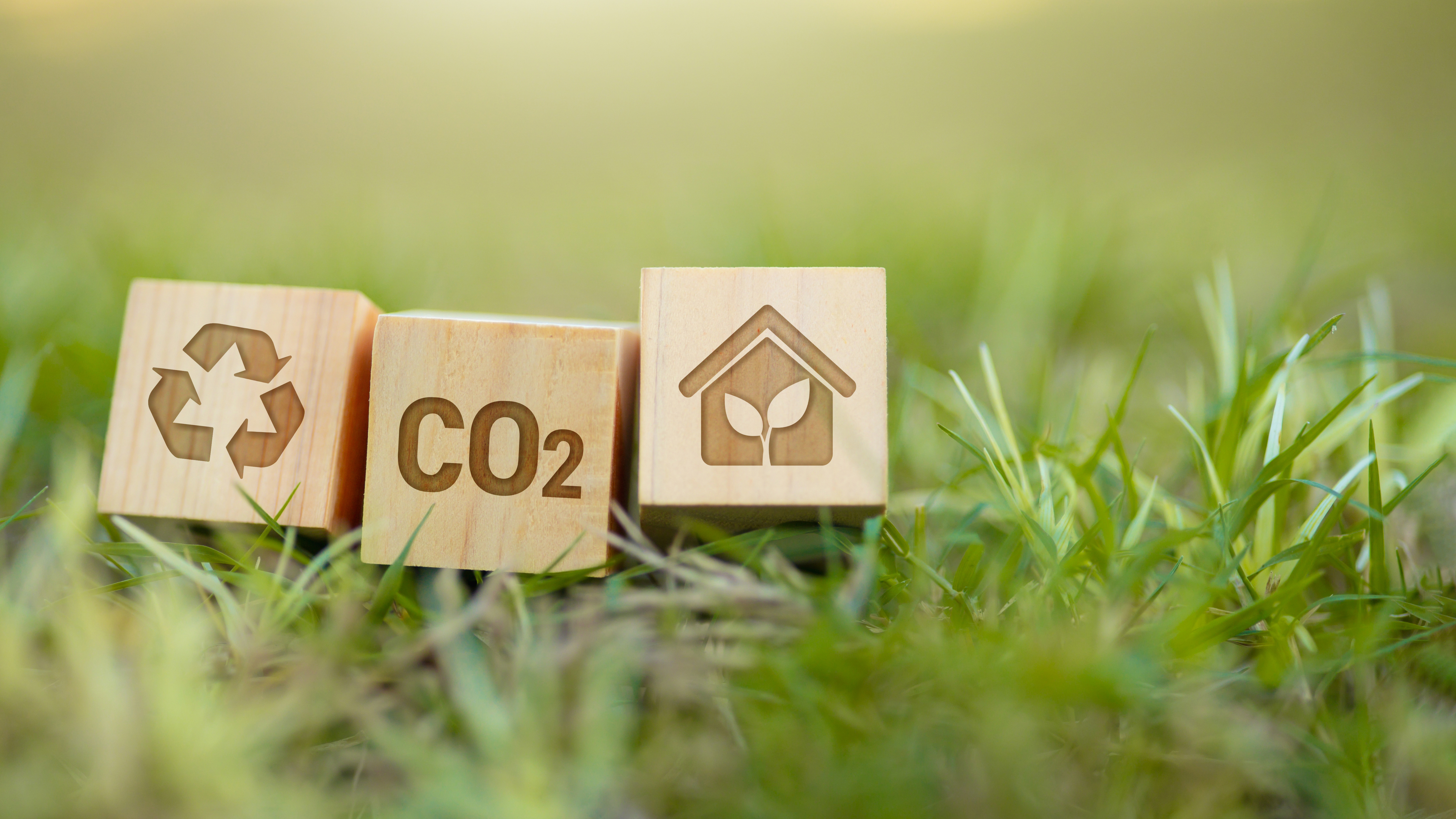 Cu&aacute;nta energ&iacute;a consume internet que usamos cada d&iacute;a