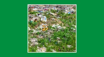 Suelo contaminado por residuos tóxicos