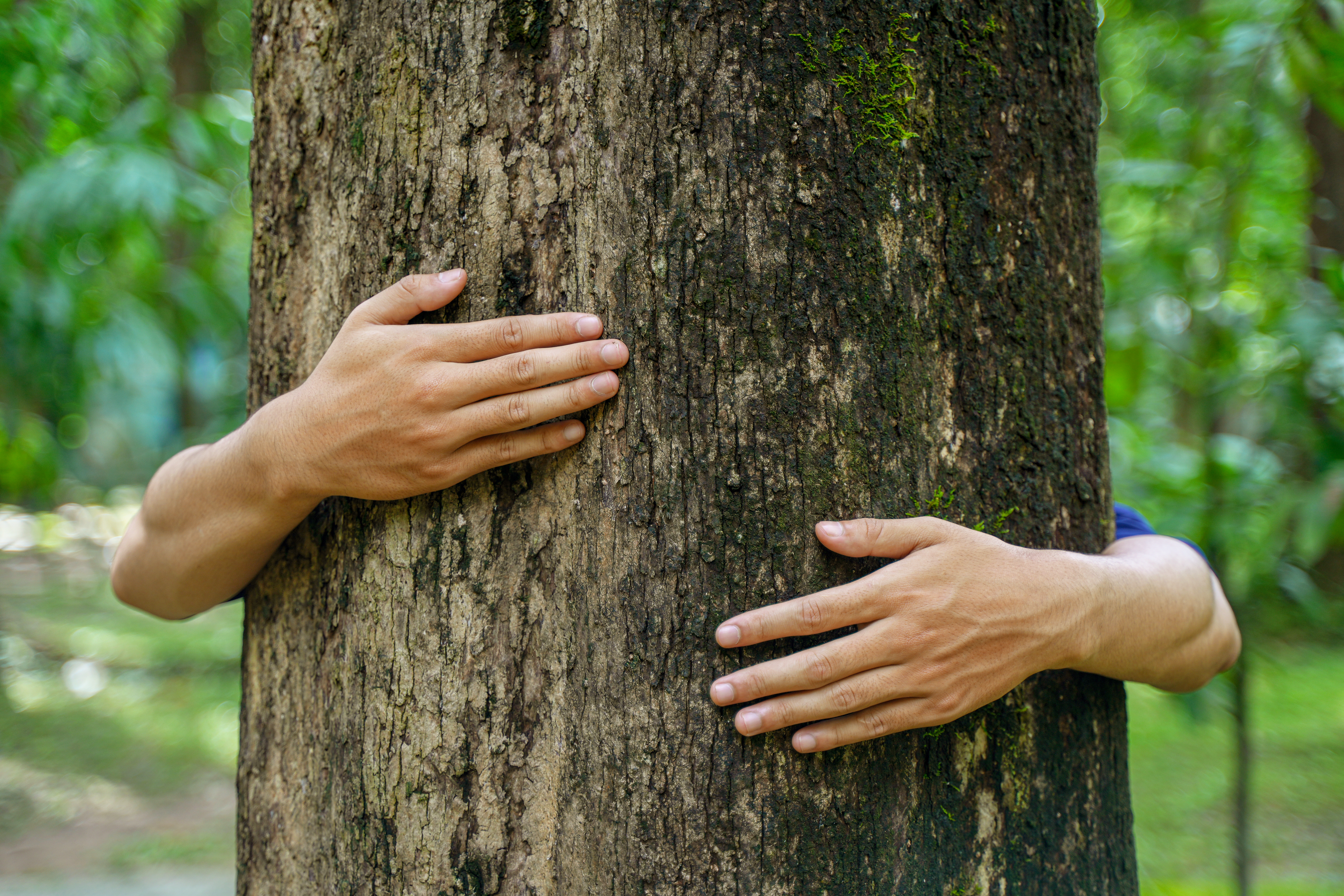 Qué hacer si tu empresa quiere ser neutra en carbono