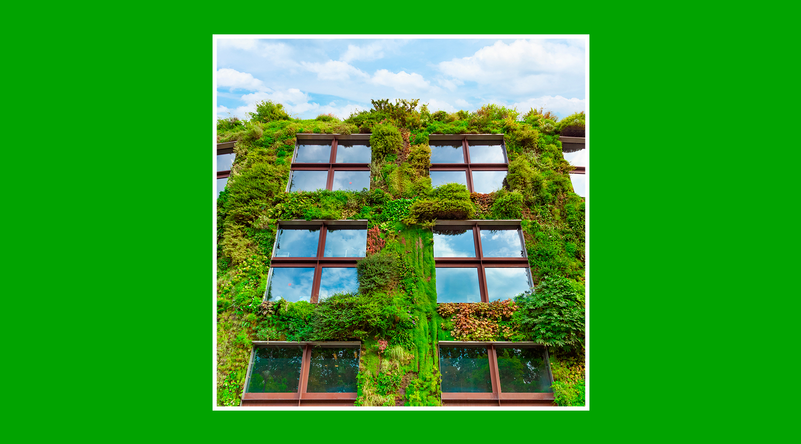 Qué es la arquitectura bioclimática y cómo te ayuda a ahorrar