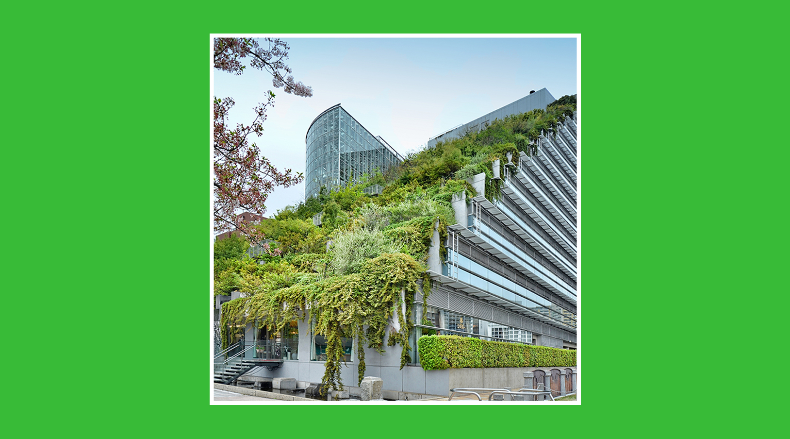 Techo verde, tecnologías de arquitectura sostenible