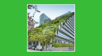 Techo verde, tecnologías de arquitectura sostenible