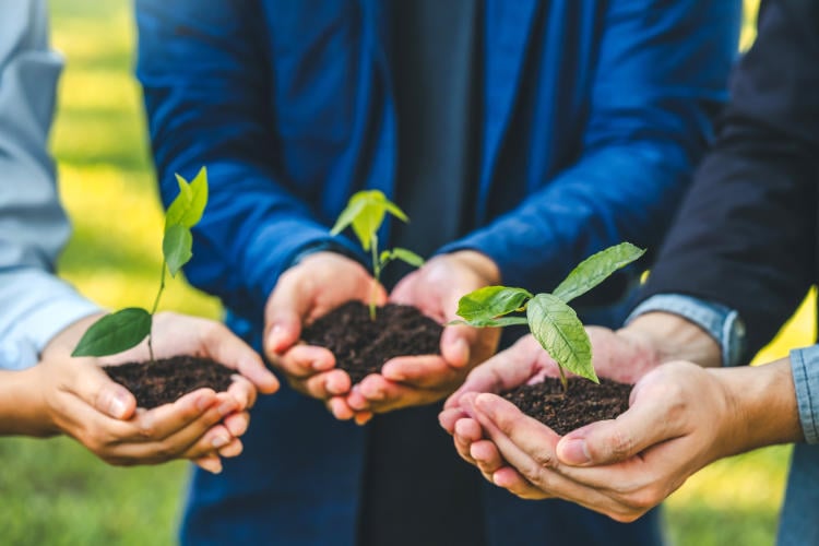 Startups sostenibles: qué son y claves de éxito Startups sostenibles: qué son y claves de éxito