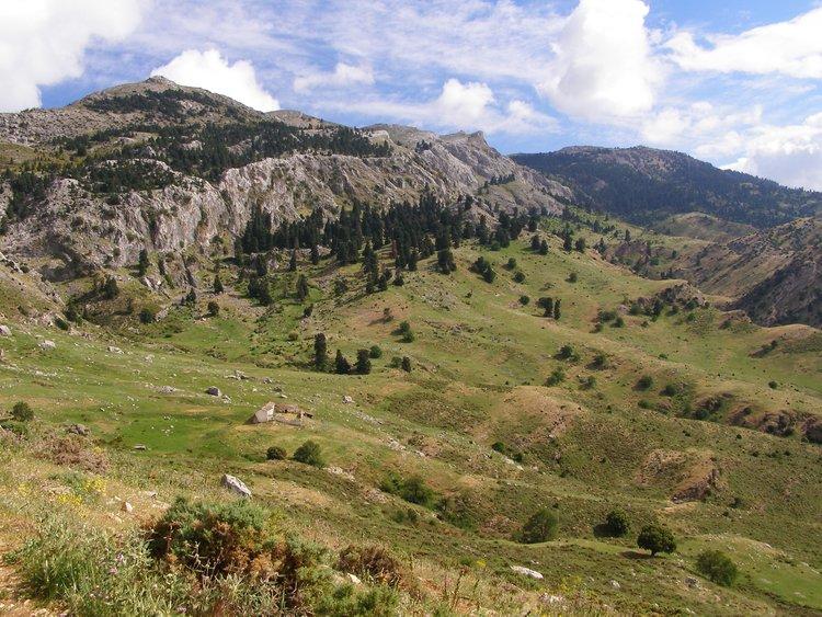 Sierra Nevada Sierra Nevada