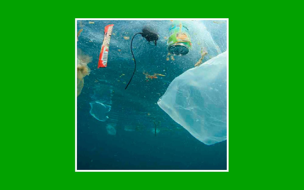 Contaminación en mares, causas y consecuencias