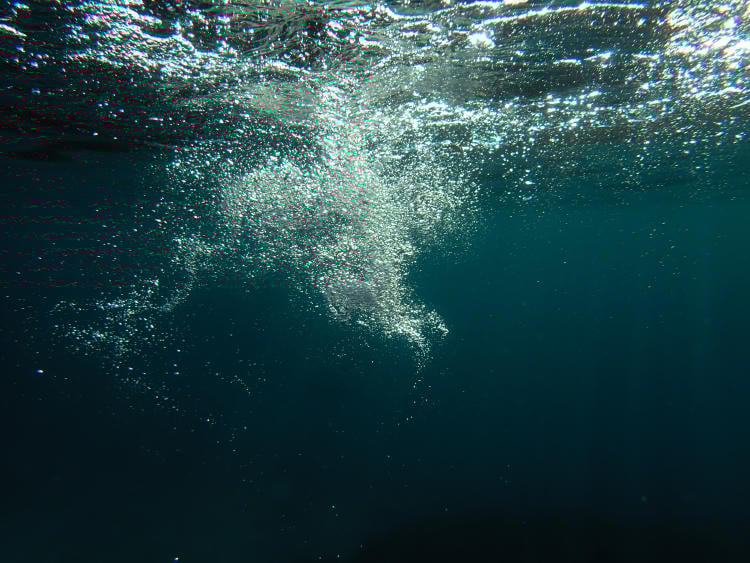 Sulfuro de hidrógeno: qué es y riesgos para el medioambiente Sulfuro de hidrógeno: qué es y riesgos para el medioambiente