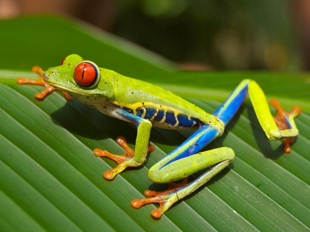 practicar ecoturismo