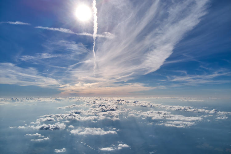Cómo afecta la contaminación a las plantas de casa Cómo afecta la contaminación a las plantas de casa
