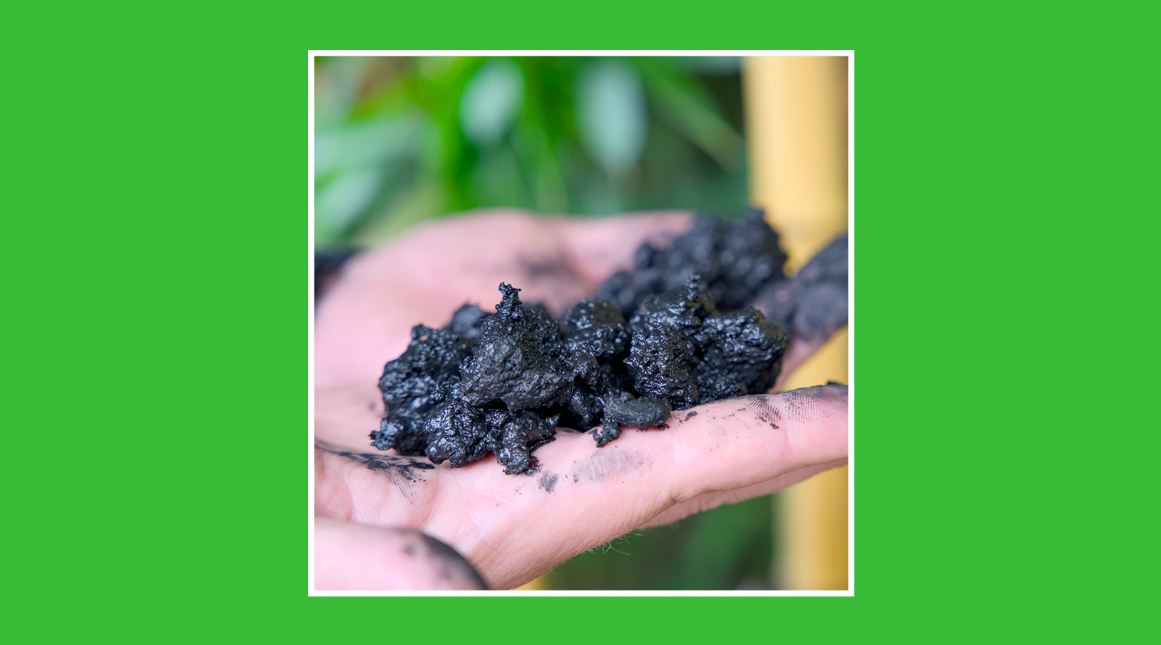 Biochar: el carbón vegetal que devuelve nutrientes a la tierra