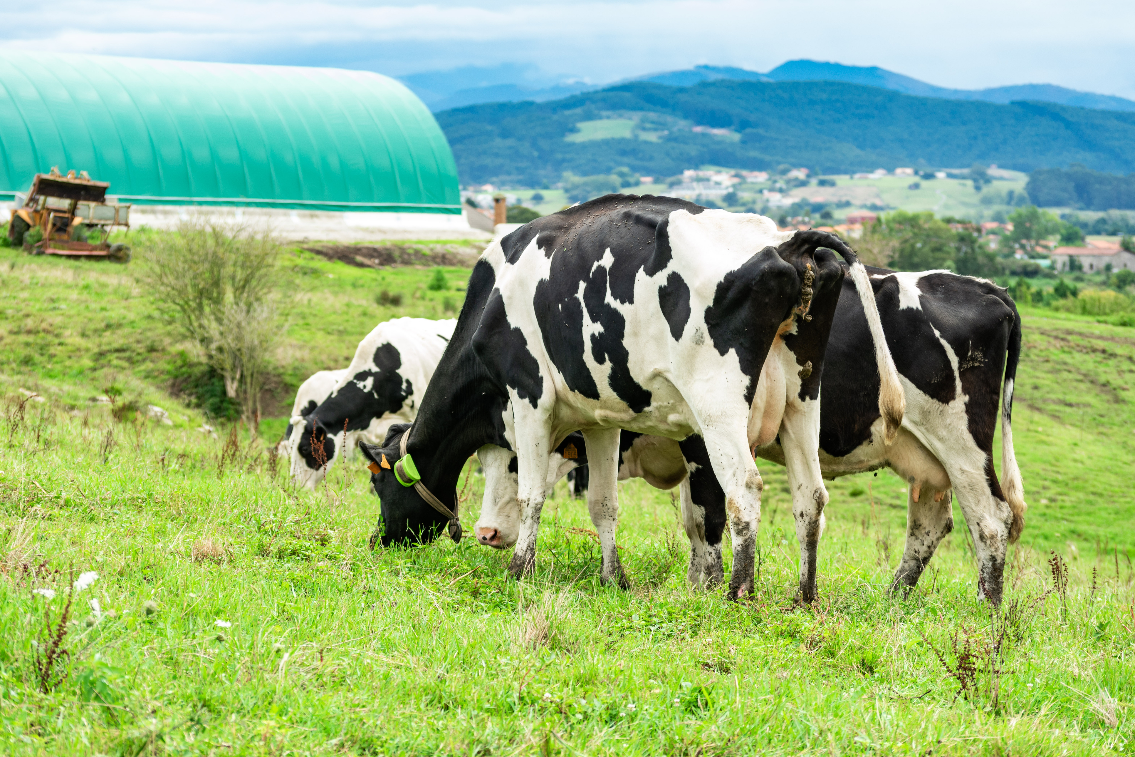 &iquest;Sabes lo qu&eacute; es la Hoja de Ruta del Biog&aacute;s en Espa&ntilde;a?