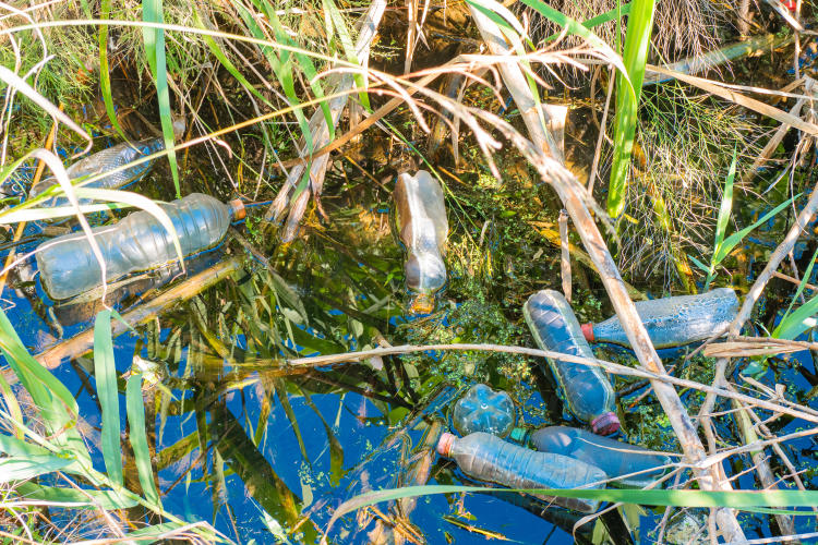 Microplásticos: qué son y cómo se pueden reciclar Microplásticos: qué son y cómo se pueden reciclar