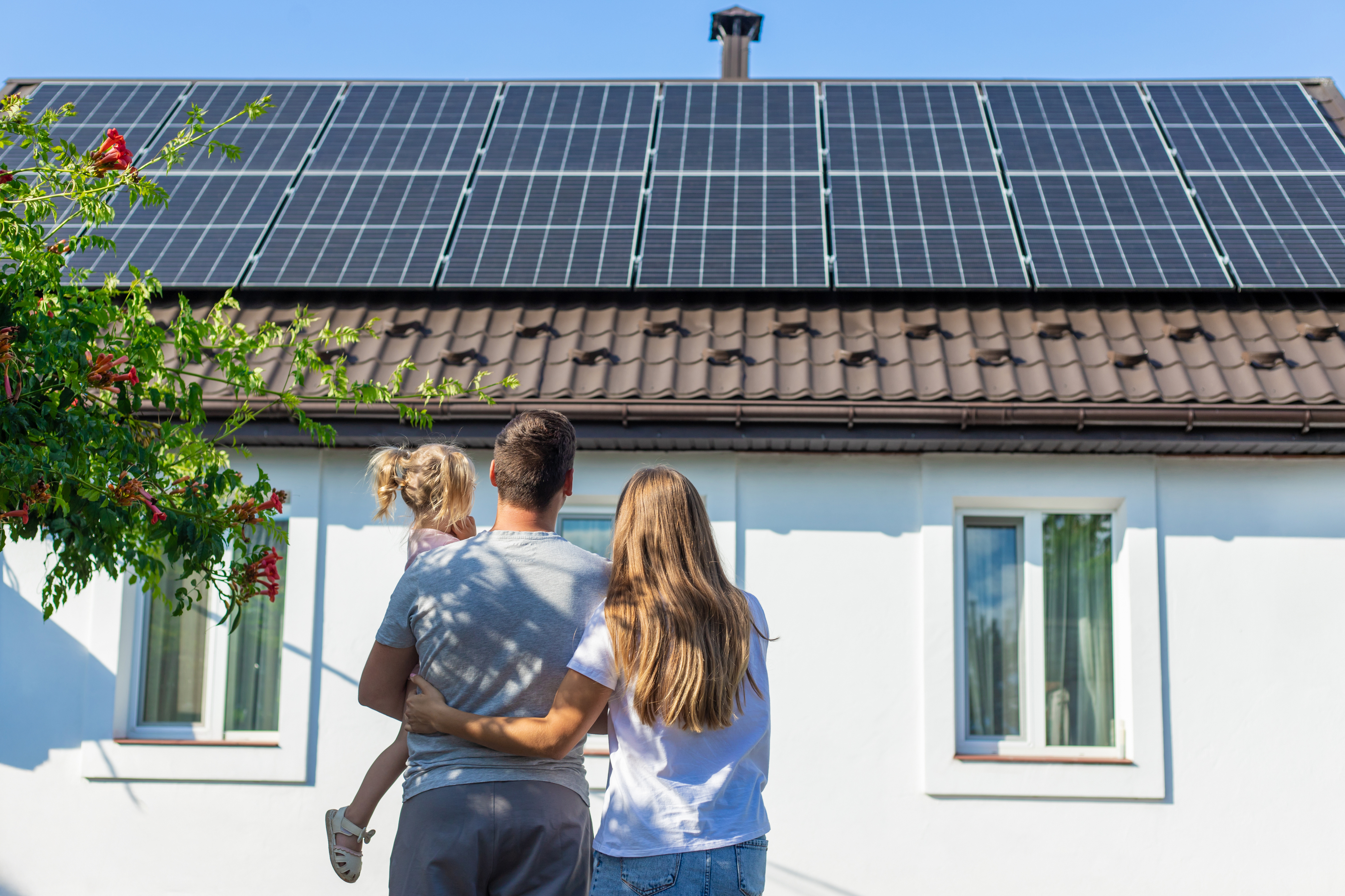 La nueva generaci&oacute;n de paneles solares m&aacute;s eficientes que llegan en 2026