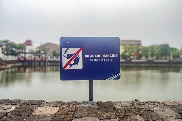 Sobrepesca: cómo frenarla para proteger nuestros océanos Sobrepesca: cómo frenarla para proteger nuestros océanos