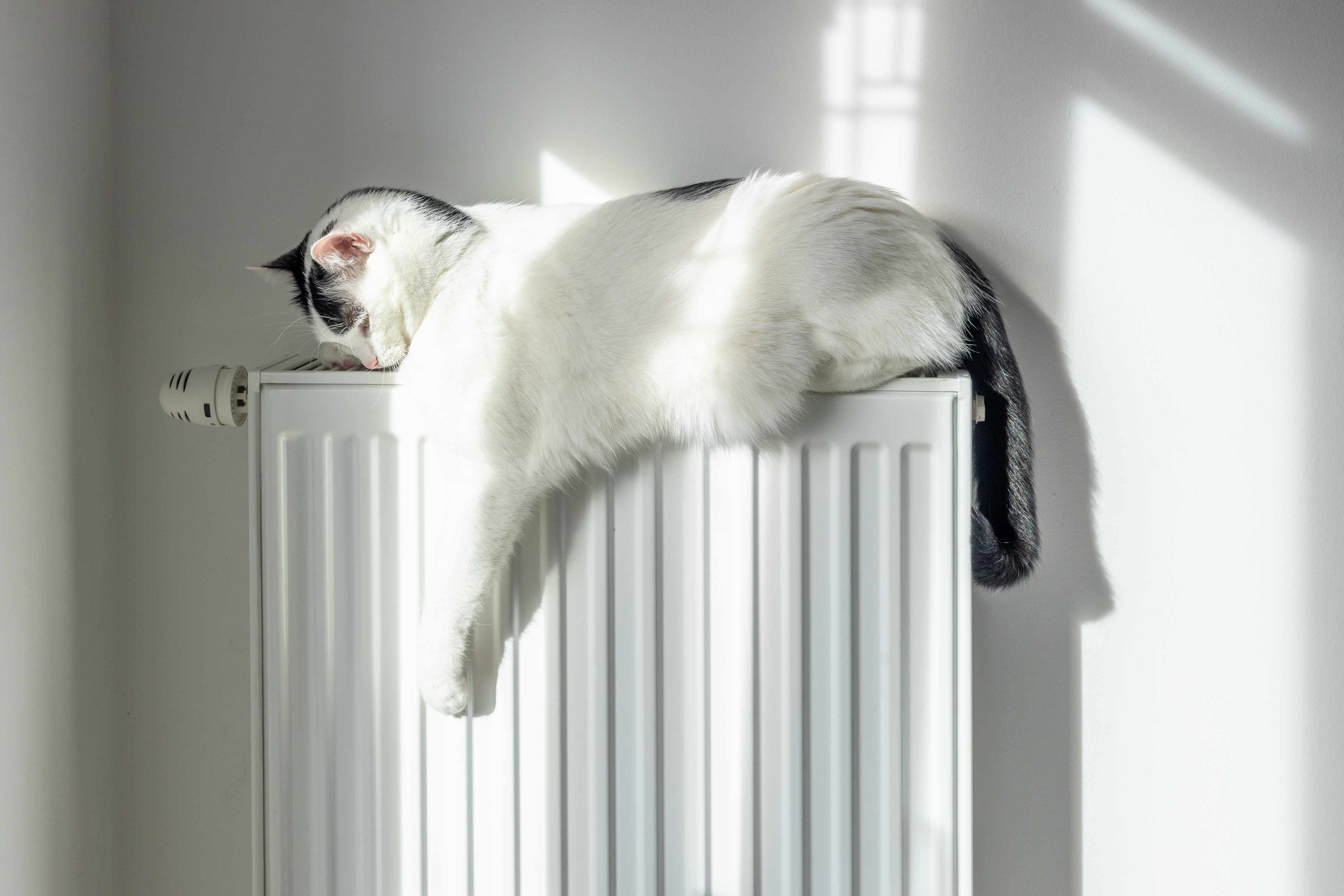 &iquest;C&oacute;mo afecta el fr&iacute;o a la eficiencia de bater&iacute;as dom&eacute;sticas?