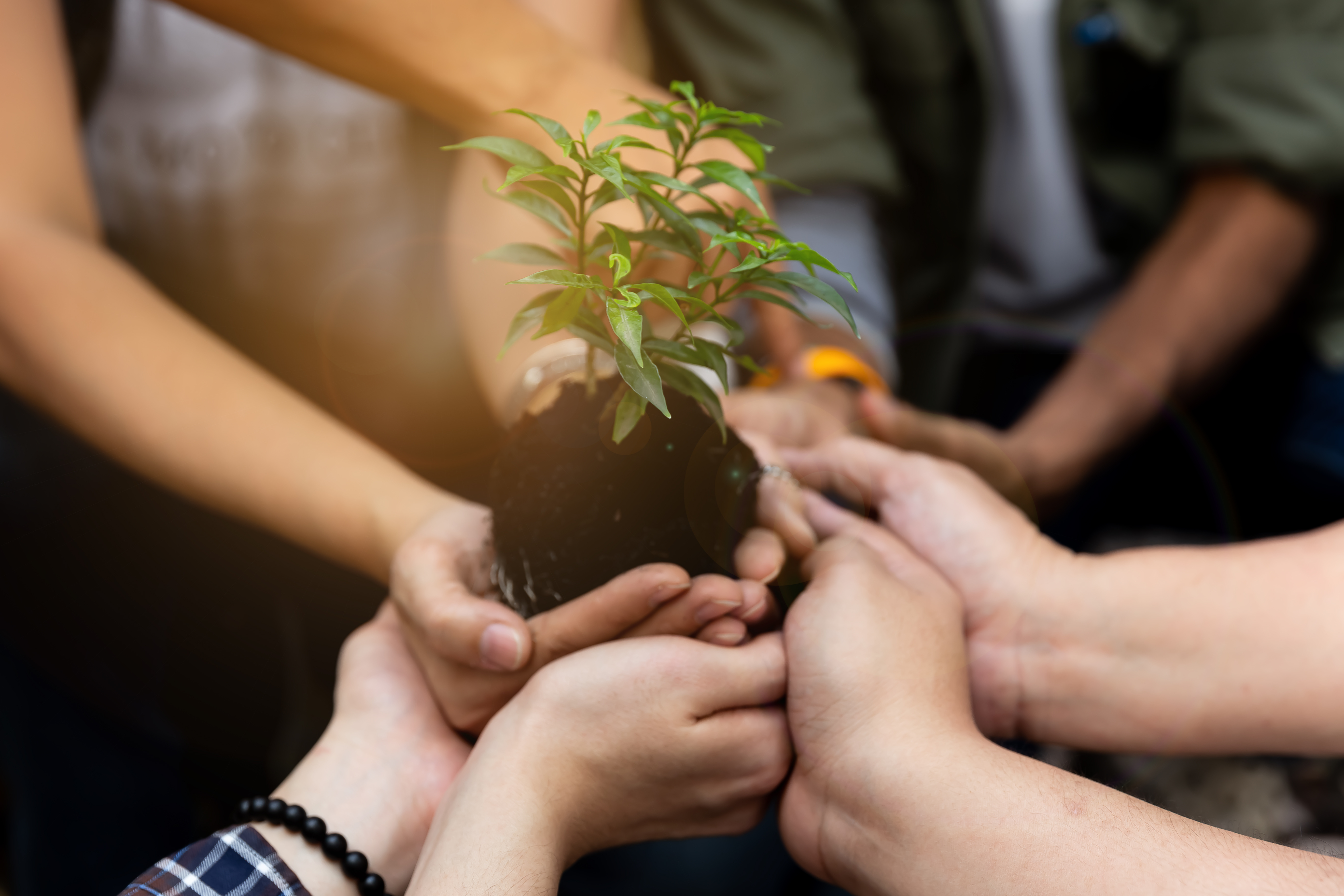 Qué es la energía circular y por qué hay que adoptarla
