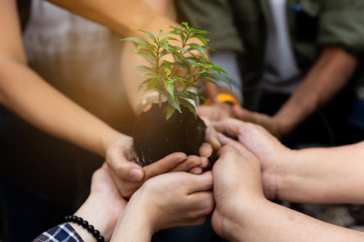 Qué es la energía circular y por qué hay que adoptarla Qué es la energía circular y por qué hay que adoptarla