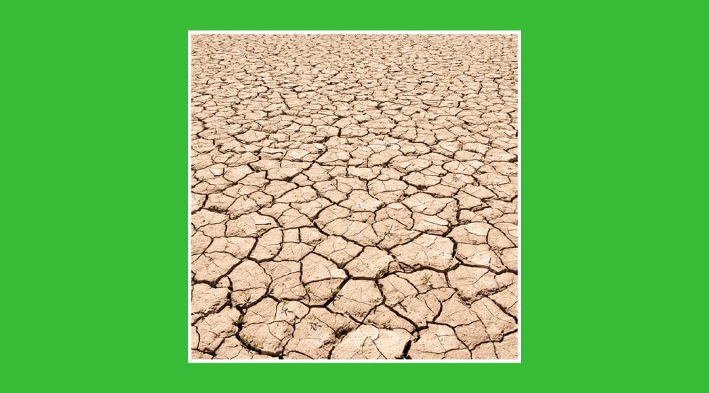 Consecuencias del cambio climático