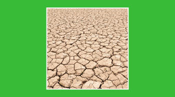 Consecuencias del cambio climático
