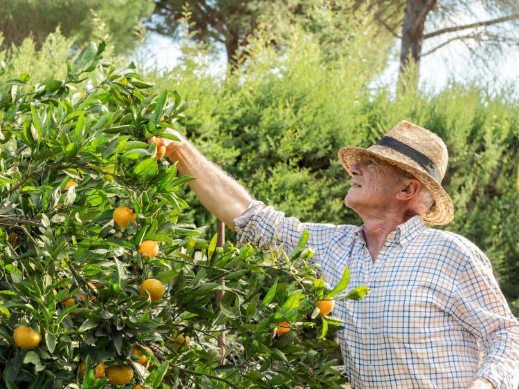 Cómo es el mapa de las plantas de biometano en Europa Cómo es el mapa de las plantas de biometano en Europa
