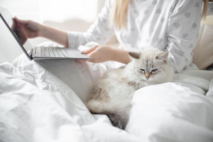 Consejos para mantener el calor en casa sin subir la factura de la luz Consejos para mantener el calor en casa sin subir la factura de la luz