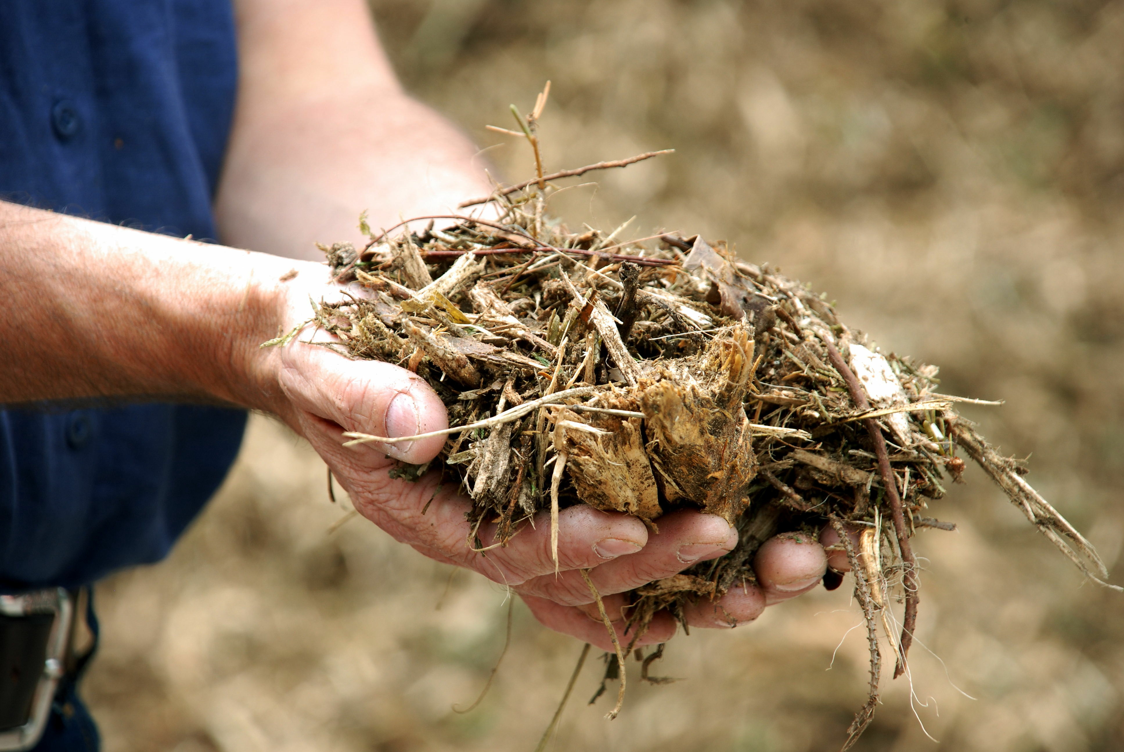 Calefacción por biomasa urbana: casos reales en España