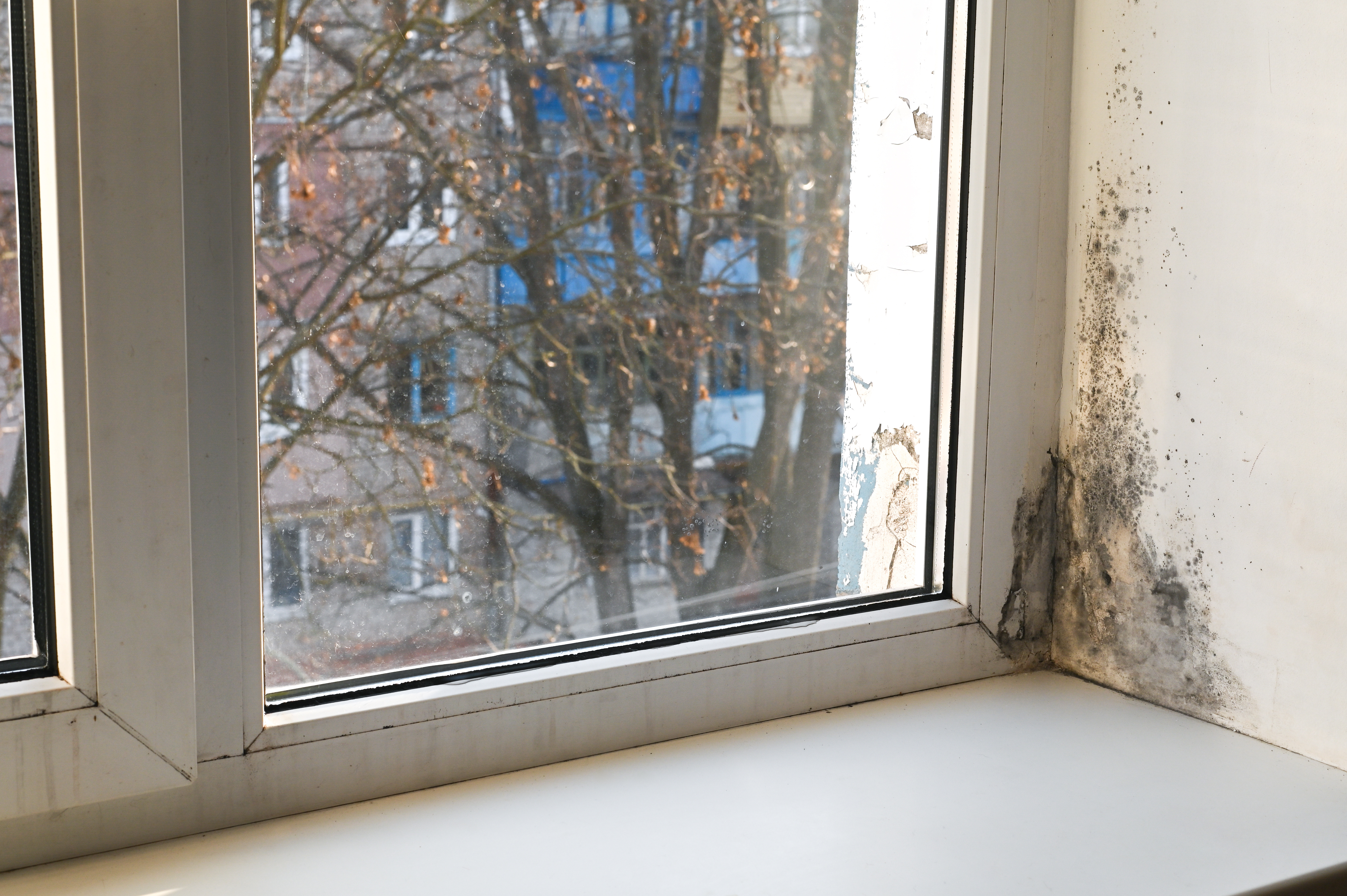 Cómo medir la calidad del aire interior en tu casa