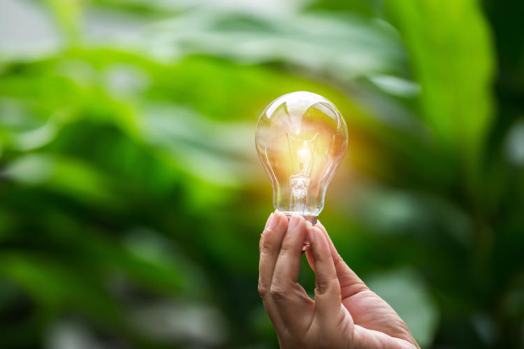 Precio de la luz en 2025: IVA, bono social y otras novedades Precio de la luz en 2025: IVA, bono social y otras novedades